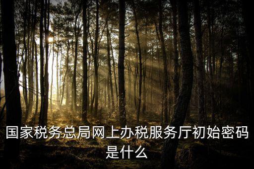江蘇地稅登錄密碼是什么意思，江蘇地稅開票密碼是多少