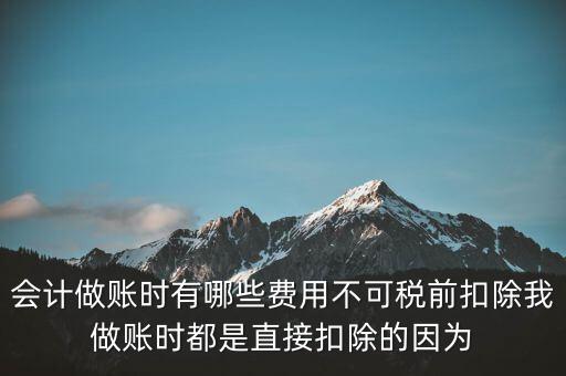 什么不可以稅前扣除嗎，納稅人哪些支出不能在企業(yè)所得稅前扣除