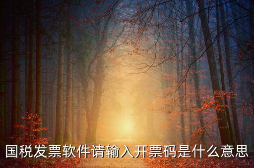 開(kāi)票二維碼是什么軟件，天津國(guó)稅通用機(jī)打發(fā)票二維碼包含的內(nèi)容解碼軟件