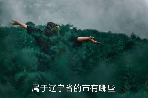 盤(pán)錦什么省，盤(pán)錦是哪里的