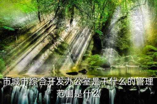市通發(fā)辦是什么，市兩辦指什么