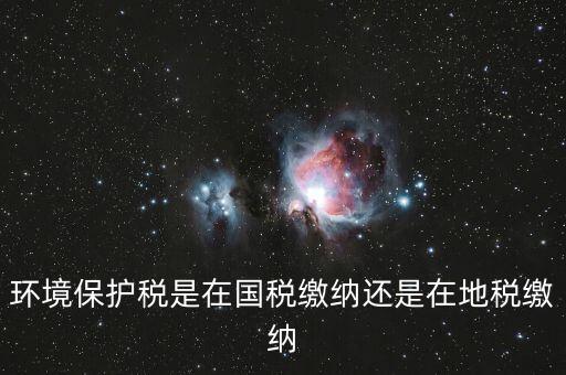 什么是環(huán)境保護(hù)稅納稅人，環(huán)境稅是什么意思