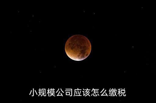 小規(guī)模公司按什么交稅嗎，一個小規(guī)模納稅公司國稅和地稅應該都分別交什么稅
