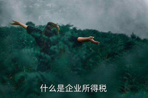 什么是企業(yè)所得稅率，什么是企業(yè)所得稅