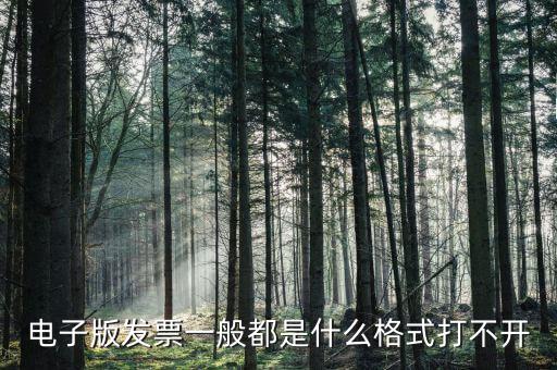 微發(fā)票助手是什么格式，exa是什么格式