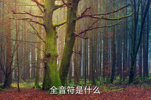 一戶式是什么，服裝SKU是指什么有什么實際應用意義