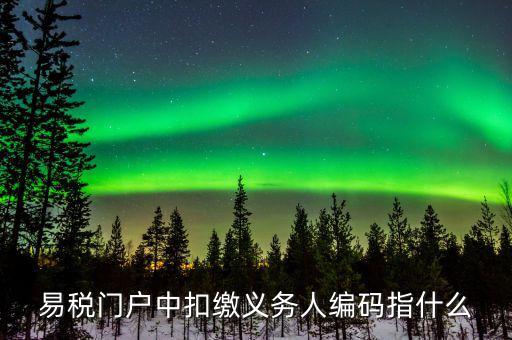 扣繳義務(wù)人識(shí)別碼是什么，易稅門戶中扣繳義務(wù)人編碼指什么