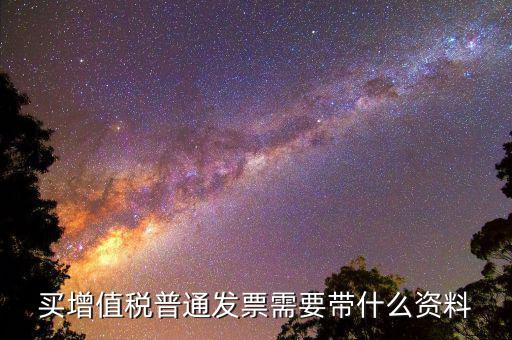 買(mǎi)增值稅普通發(fā)票需要帶什么資料