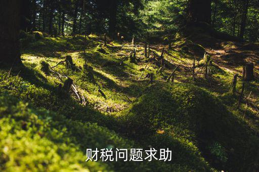 財稅問題是什么，財稅風(fēng)險都有哪些