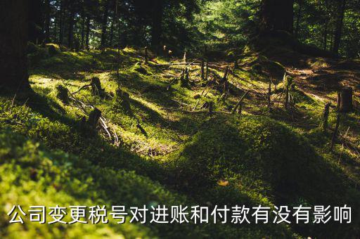換稅號注意什么，公司變更稅號對進賬和付款有沒有影響