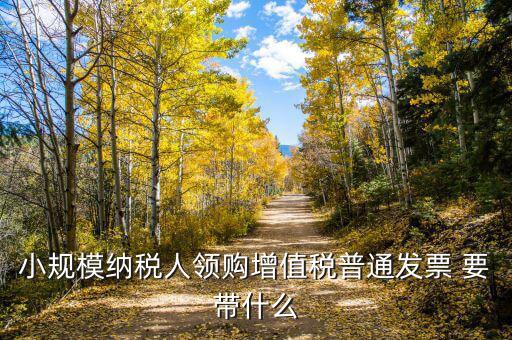 領(lǐng)增值稅普通發(fā)票需要什么資料，小規(guī)模納稅人領(lǐng)購增值稅普通發(fā)票 要帶什么