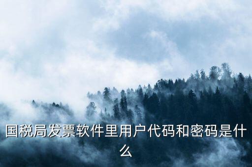 網(wǎng)上認證發(fā)票平臺密碼是什么樣的，國稅局發(fā)票軟件里用戶代碼和密碼是什么