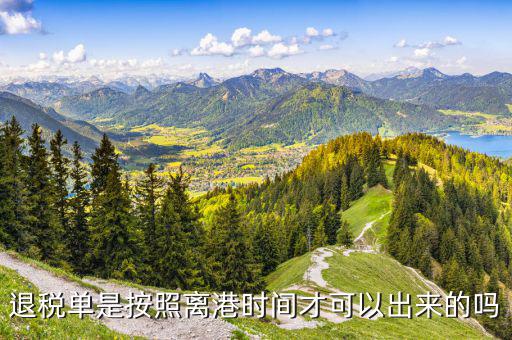 退稅單一般什么時(shí)候下來(lái)，退稅單是按照離港時(shí)間才可以出來(lái)的嗎