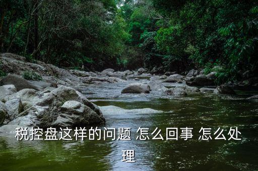 為什么稅控盤升級(jí)，稅控盤這樣的問題 怎么回事 怎么處理