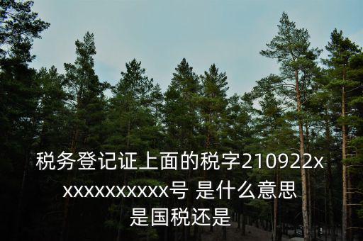 稅號91和92什么區(qū)別，納稅人識別號與稅號有區(qū)別嗎