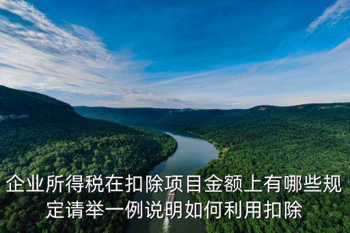 扣除項(xiàng)目金額是什么，應(yīng)稅服務(wù)扣除項(xiàng)目清單中允許扣除項(xiàng)目金額指的是什么是總