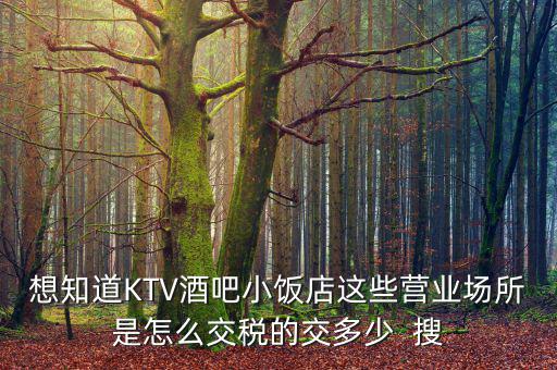ktv交納什么稅，想知道KTV酒吧小飯店這些營業(yè)場所是怎么交稅的交多少  搜