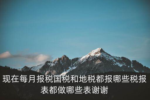 國稅報什么，現(xiàn)在每月報稅國稅和地稅都報哪些稅報表都做哪些表謝謝
