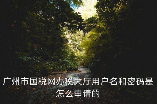 廣州國(guó)稅官網(wǎng)登錄密碼是什么原因，國(guó)稅第一次網(wǎng)上申報(bào)的登陸密碼是什么