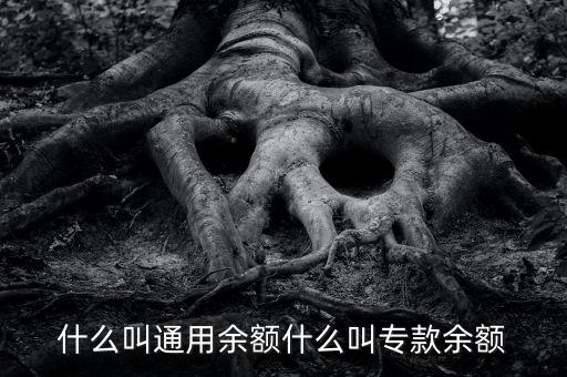 什么叫通用余額什么叫專(zhuān)款余額