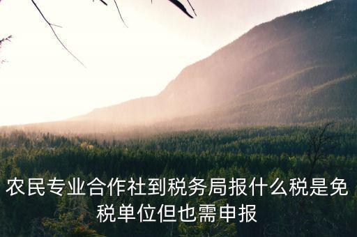 合作社應(yīng)報(bào)什么稅，農(nóng)民專(zhuān)業(yè)合作社是怎樣報(bào)稅的是企業(yè)還是個(gè)體戶(hù)