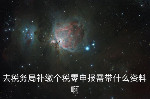 個稅補交帶什么資料，去稅務局補繳個稅零申報需帶什么資料啊
