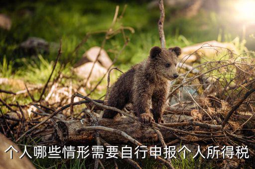 什么人申報(bào)個(gè)稅，個(gè)人哪些情形需要自行申報(bào)個(gè)人所得稅