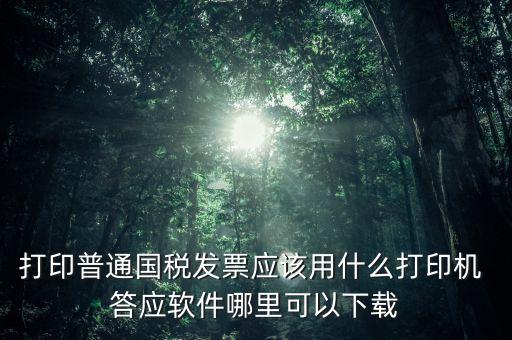 打國稅發(fā)票用什么軟件，打印普通國稅發(fā)票應(yīng)該用什么打印機(jī) 答應(yīng)軟件哪里可以下載
