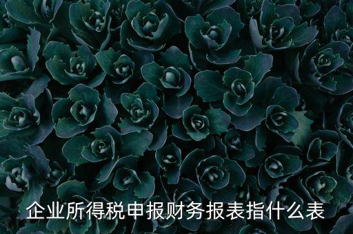 千戶集團財務(wù)報表申報是什么，2015年度財務(wù)報表和申報表指的是啥