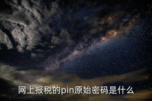 國(guó)稅什么叫pin碼，機(jī)構(gòu)代碼的ca證書(shū)的PIN碼是什么我用CA證書(shū)登陸國(guó)稅時(shí)提示詳細(xì)
