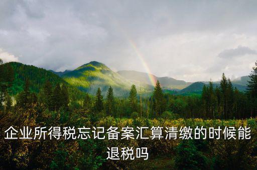 匯算清繳什么時(shí)間退稅，所得稅匯算清繳多交的稅什么時(shí)候要退稅