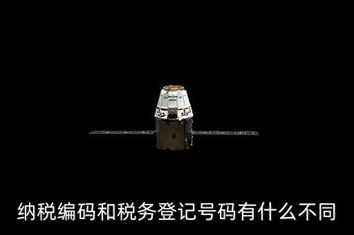 個(gè)人納稅編號(hào)是什么意思，納稅編碼和稅務(wù)登記號(hào)碼有什么不同