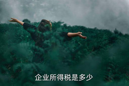 生產(chǎn)企業(yè)稅收標(biāo)準(zhǔn)是什么，企業(yè)所得稅是多少