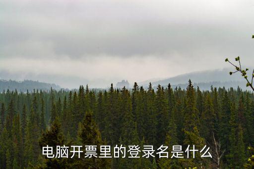 電子稅務(wù)局登錄賬號(hào)是什么意思，企業(yè)金稅盤系統(tǒng)用來(lái)開(kāi)票抄稅報(bào)稅用那登錄國(guó)稅地稅局網(wǎng)站是干嘛的