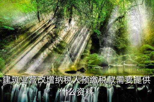 預(yù)繳增值稅要什么資料，在外地有個(gè)工程想用人工費(fèi)發(fā)票增值稅來抵預(yù)交稅款的增值稅需