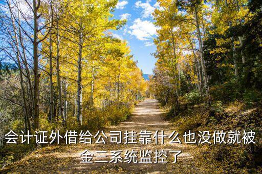 金三系統(tǒng)有什么問(wèn)題，會(huì)計(jì)證外借給公司掛靠什么也沒(méi)做就被金三系統(tǒng)監(jiān)控了