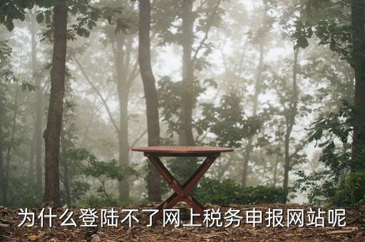 申報個稅登錄不上去是什么原因，為什么我的個人所得稅總是登不上去