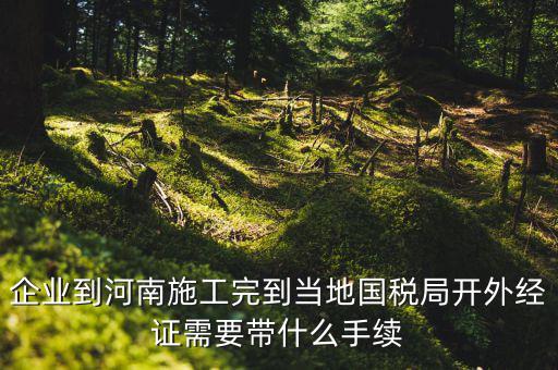 企業(yè)到河南施工完到當地國稅局開外經證需要帶什么手續(xù)