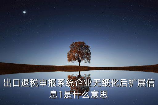 出口退稅申報系統企業(yè)無紙化后擴展信息1是什么意思