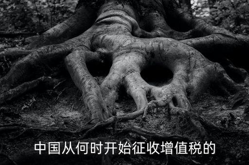 什么時(shí)候征收增值稅，批發(fā)零售業(yè)增值稅征收率什么時(shí)間開(kāi)始為3