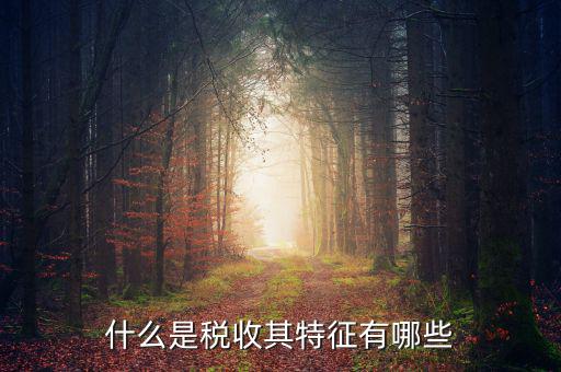 稅收的特點是什么意思，稅收的實質和特征