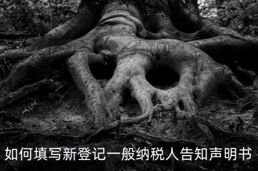 納稅人聲明是什么意思，一般納稅人申報表主表的申明人必須輸入是什么意思