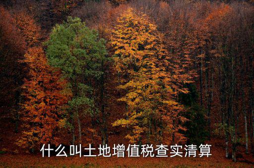 土地增值稅為什么清算，土地增值稅清算
