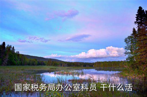 國稅行政辦公室干什么，國稅局辦公室怎么樣