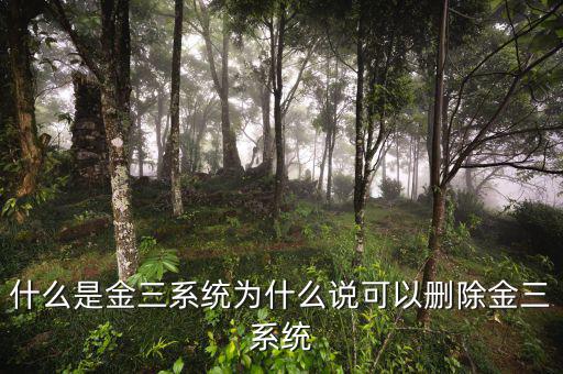 國(guó)稅金三系統(tǒng)是什么，什么是金三系統(tǒng)為什么說(shuō)可以刪除金三系統(tǒng)