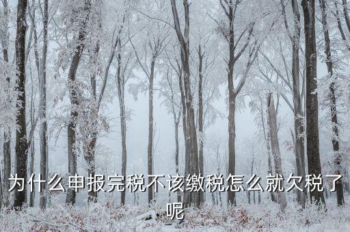 為什么國稅欠稅不催繳，因稅務(wù)機關(guān)原因未能及時繳納稅款是否屬于欠稅