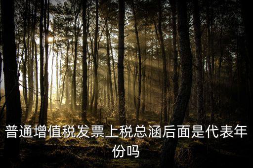 稅總涵2016是什么意思，普通增值稅發(fā)票上稅總涵后面是代表年份嗎