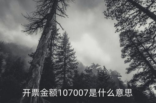開票金額是什么意思，增值稅專用發(fā)票的各項金額分別是什么含義