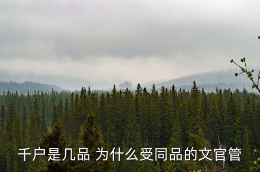 什么千戶集團，千戶是什么意思