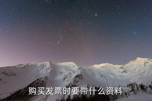 購發(fā)票 帶什么資料，購買增值稅普通發(fā)票需要帶什么資料